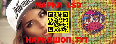 СК Донецк