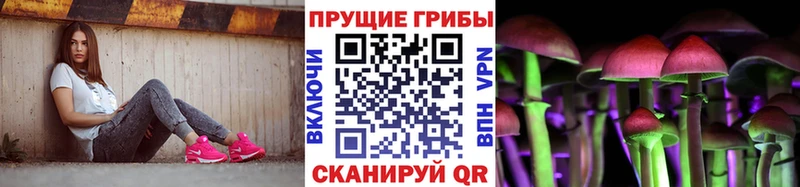 даркнет Telegram  Миллерово  Псилоцибиновые грибы Psilocybe  закладка 